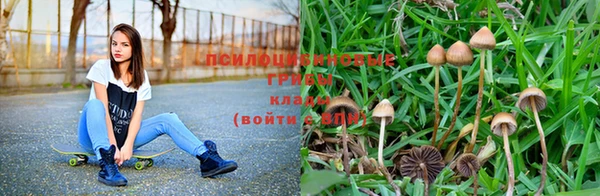 прущие крисы Новодвинск