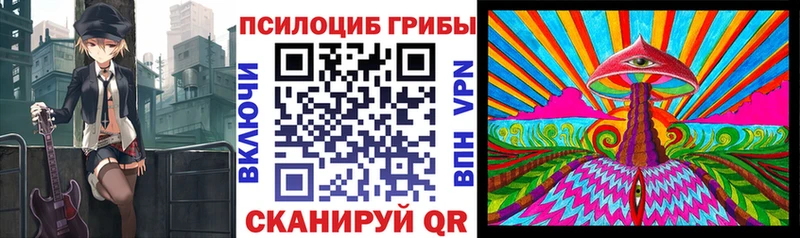 Галлюциногенные грибы GOLDEN TEACHER  Мытищи 