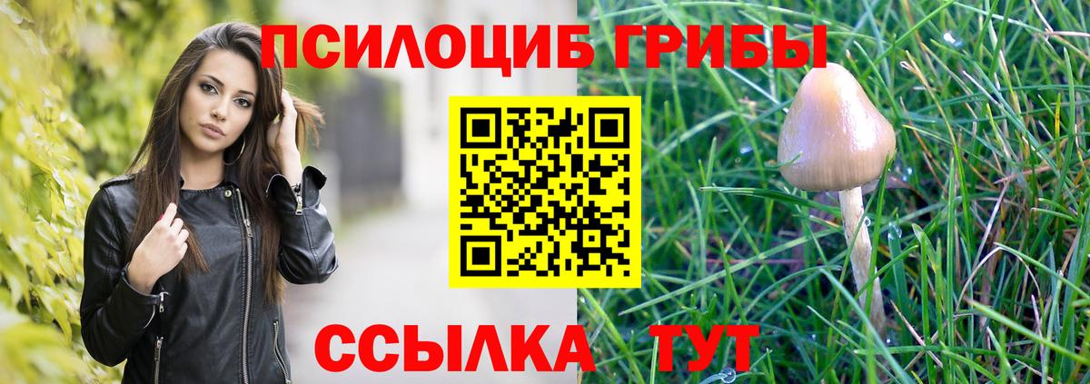 Галлюциногенные грибы Magic Shrooms  Вход с VPN  Мытищи 