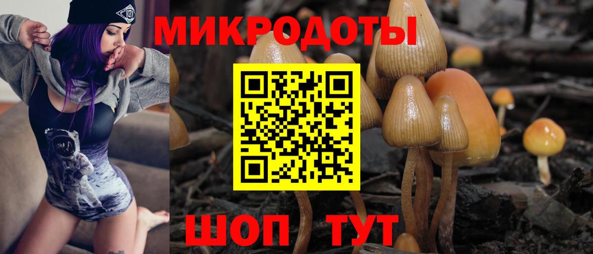 Галлюциногенные грибы мицелий Мытищи